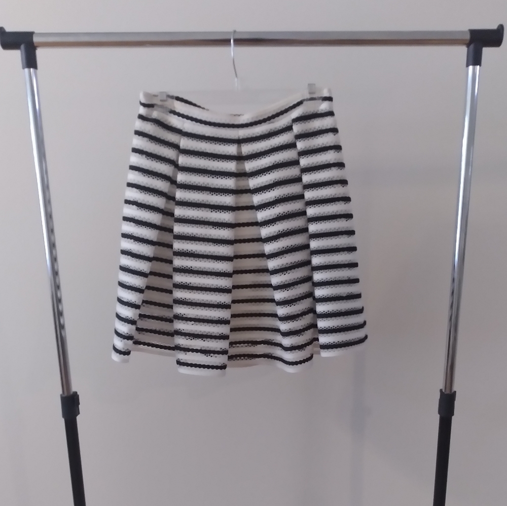 White and Black Pleated Skater Skirt